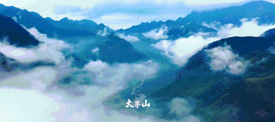 小金鱼看两会丨浙江又到两会时间，这些知识你会了吗？